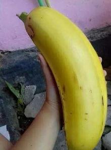 大香蕉国产情侣